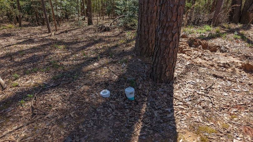 DJI_20260310233635_0019_D