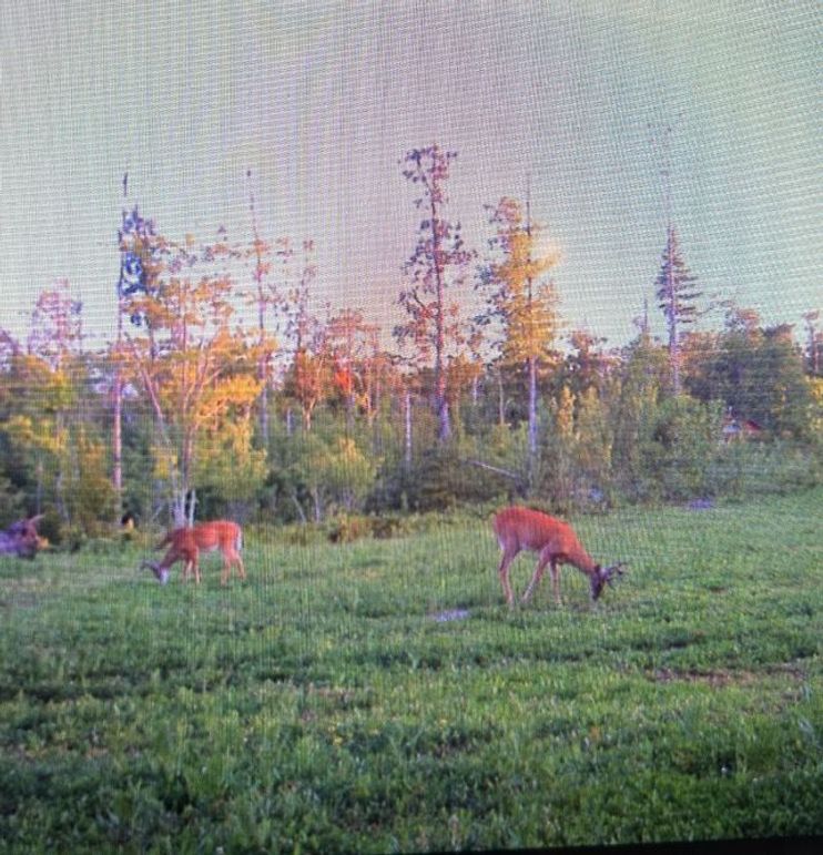 Screenshot 2023-06-07 at 10.23.00 AM