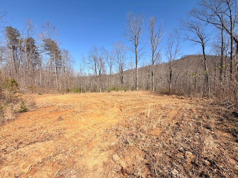 Morgan Co TN 310.833 Schneller_76