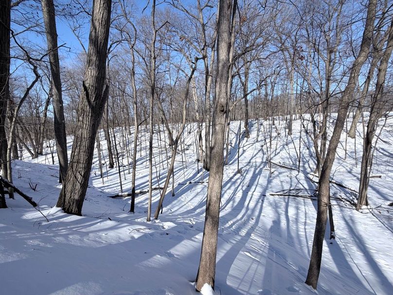 2.Copy of Tract 5 SW Creelbottom 4 Large