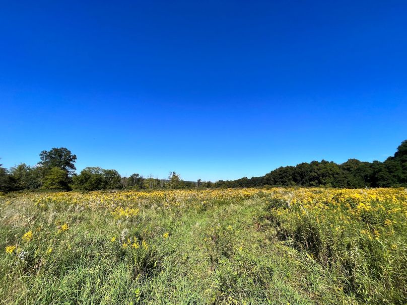 Tompkins_55.05_Hildreth_Photos_6