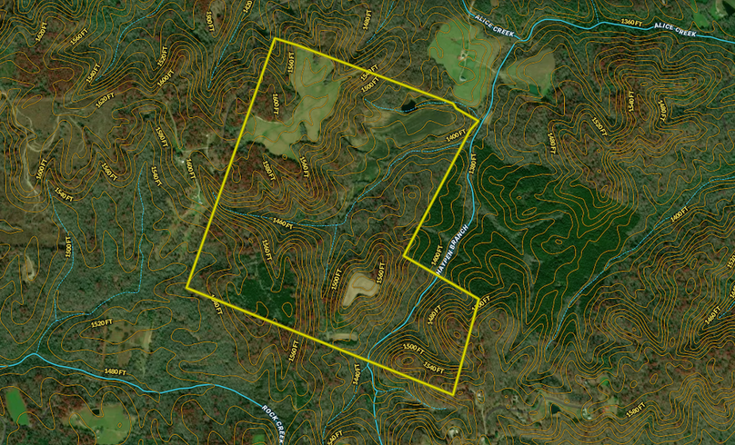 Screenshot 2025-08-04 at 11.28.35 AM