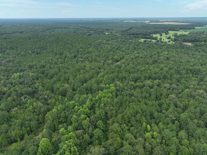 dji_fly_20230727_170034_384_1690507717376_photo 3