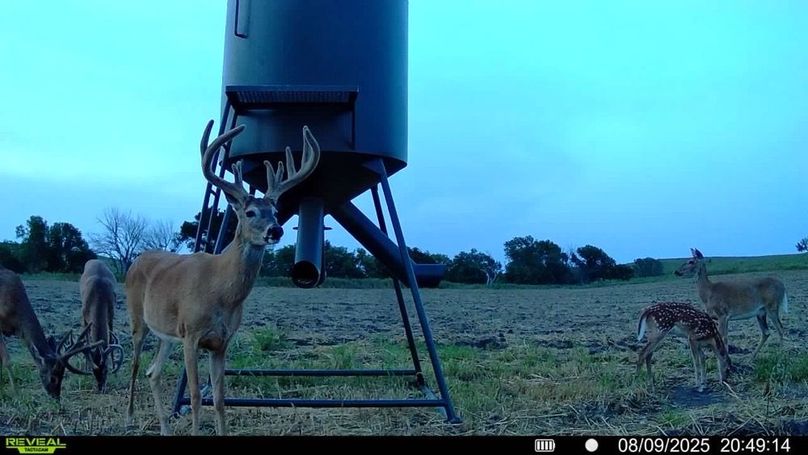 016579004651498-100-2-08092025204914-SYFW00270