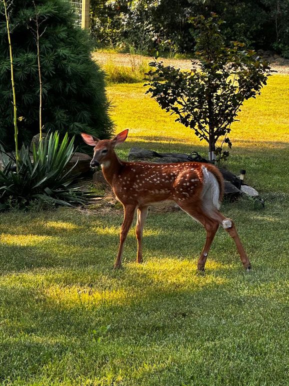 Monroe 68.2 - 41.7 of 120