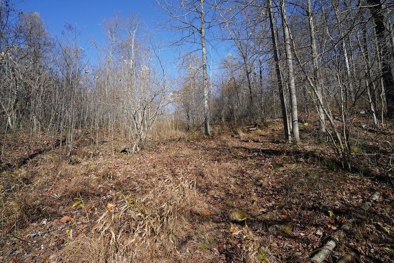 Somerset, 10.91, Tinkey-19