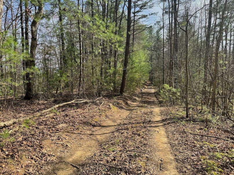 011 more nice views dow the path