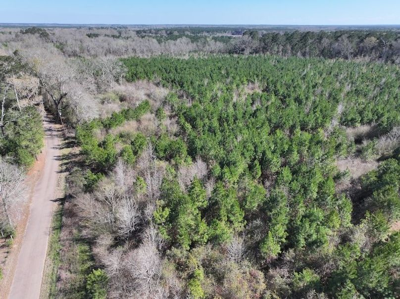 dji_fly_20260302_130746_0349_1772559697667_photo