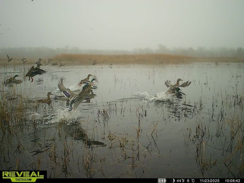 860322064859660-100-3-11232025133658-HD-SYEW4682