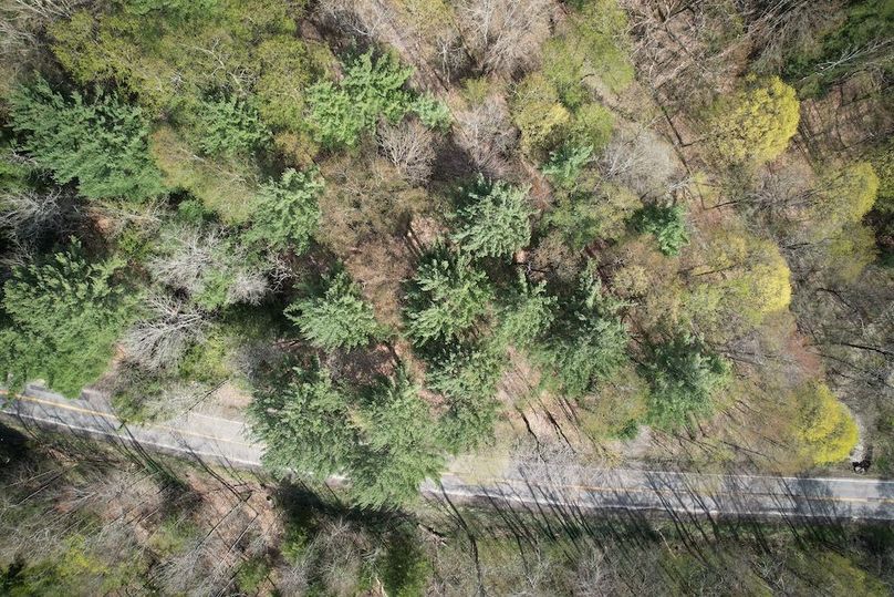 Tioga_76.65_Matyjas_Photos_3