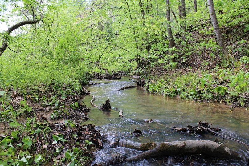 017 Greasy Branch watershed throughout