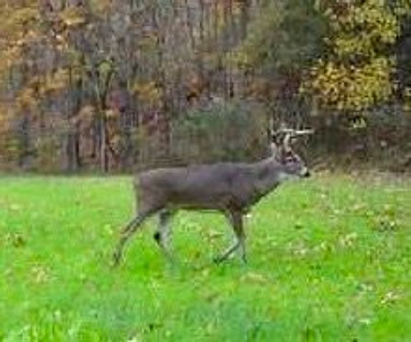 493775CC-2D9A-4C53-8117-A2D00FF30DCD_4_5005_c