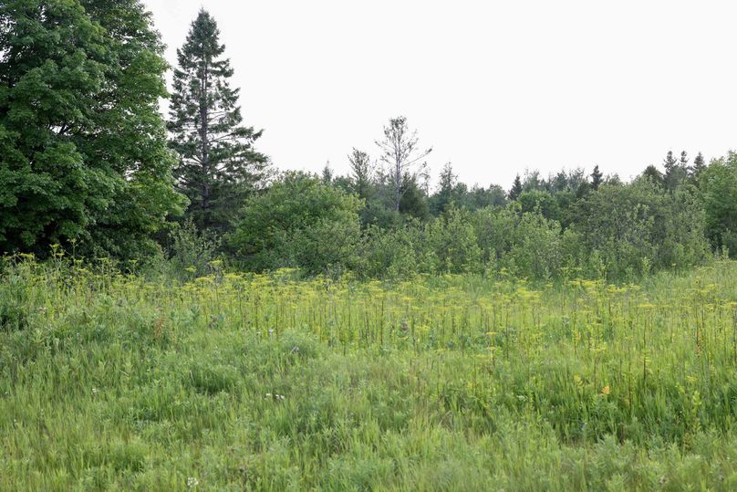 Mackinac20Fewins-6154