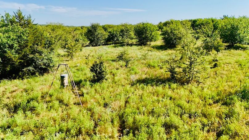 dji_fly_20250728_093606_0049_1753739698222_photo