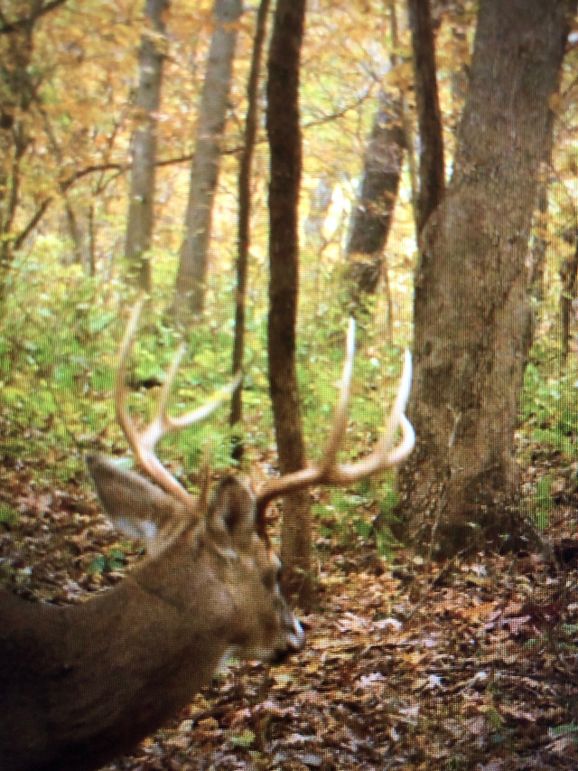 59486944095__F7D2416B-0E98-454B-8236-86E725528812