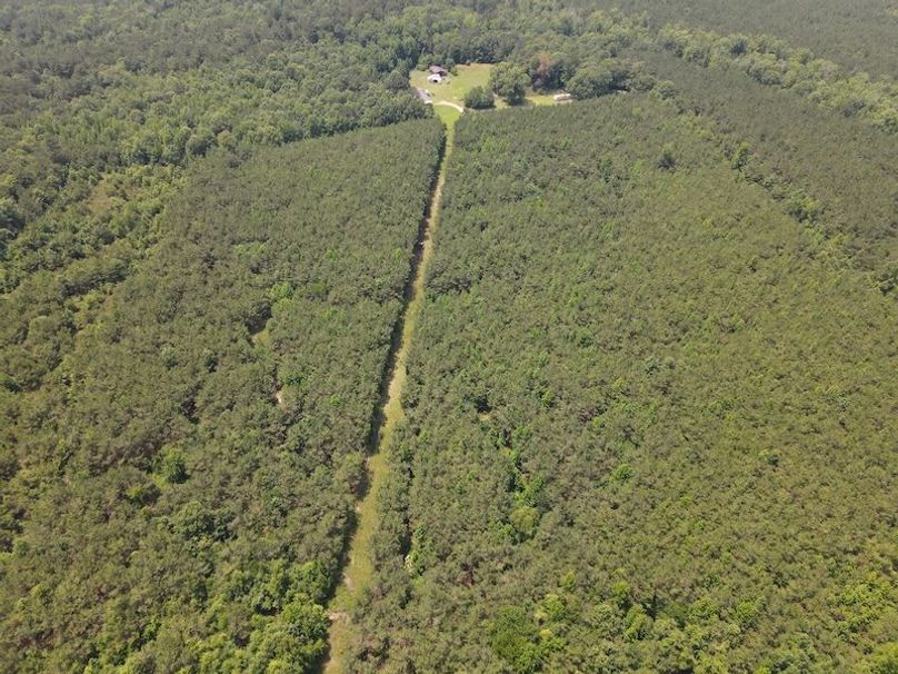 Copy of DJI_0890