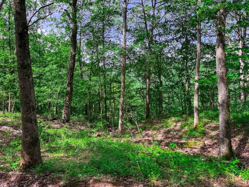 Wirt, WV 137.45 AC Full-60