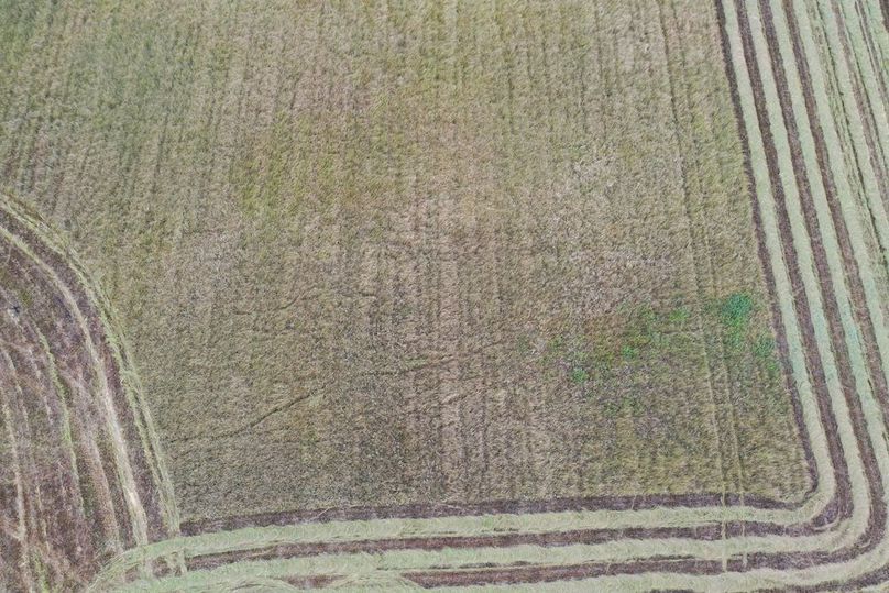 DJI_0874