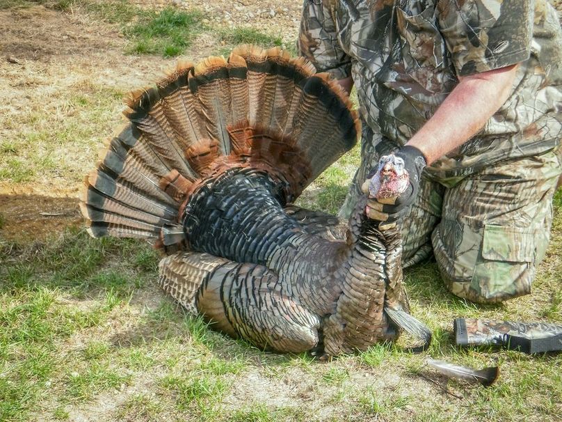 Juneau 27 Wiesner -052