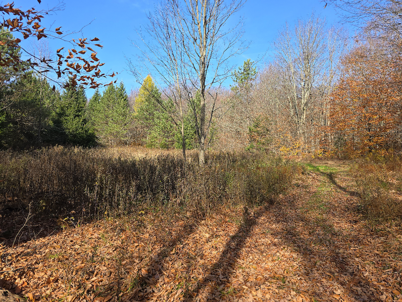 photo_940394fd-8794-4800-8a9d-ee52a117e05d