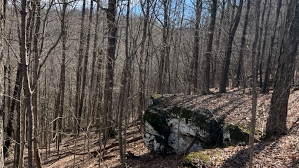 Very Private Build Site With Views, Utilities And Driveway In TN