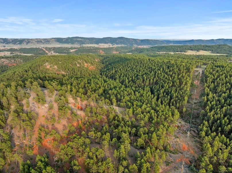 29-DJI_20250507185644_0785_D