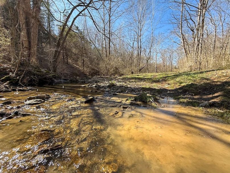 Fleming Petry 115-35