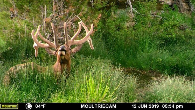 7 photo sanpete 555