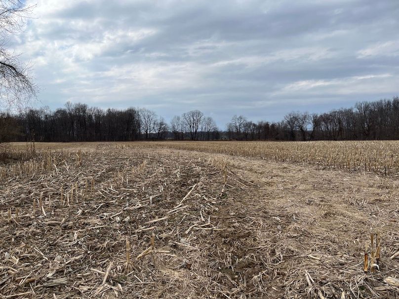 Ontario_96.7_Kiikka Photo 29