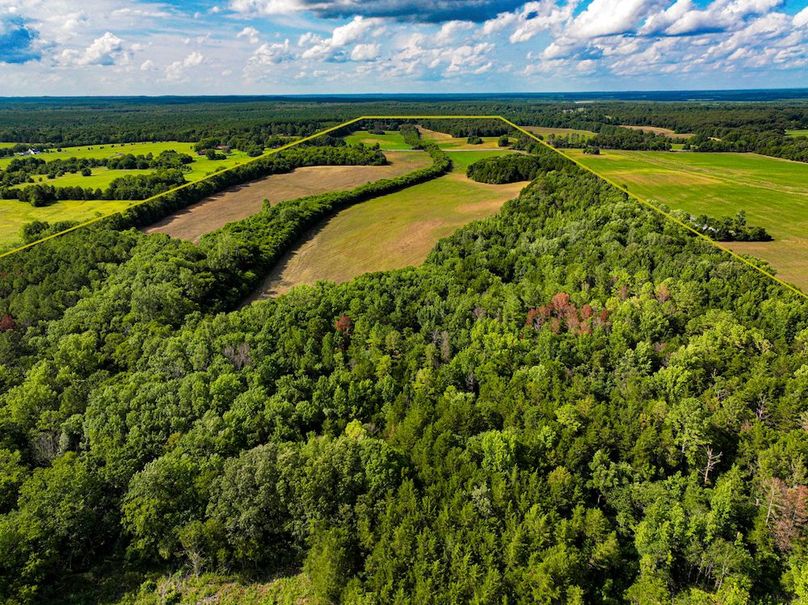 Chickasaw 160 Porter-04