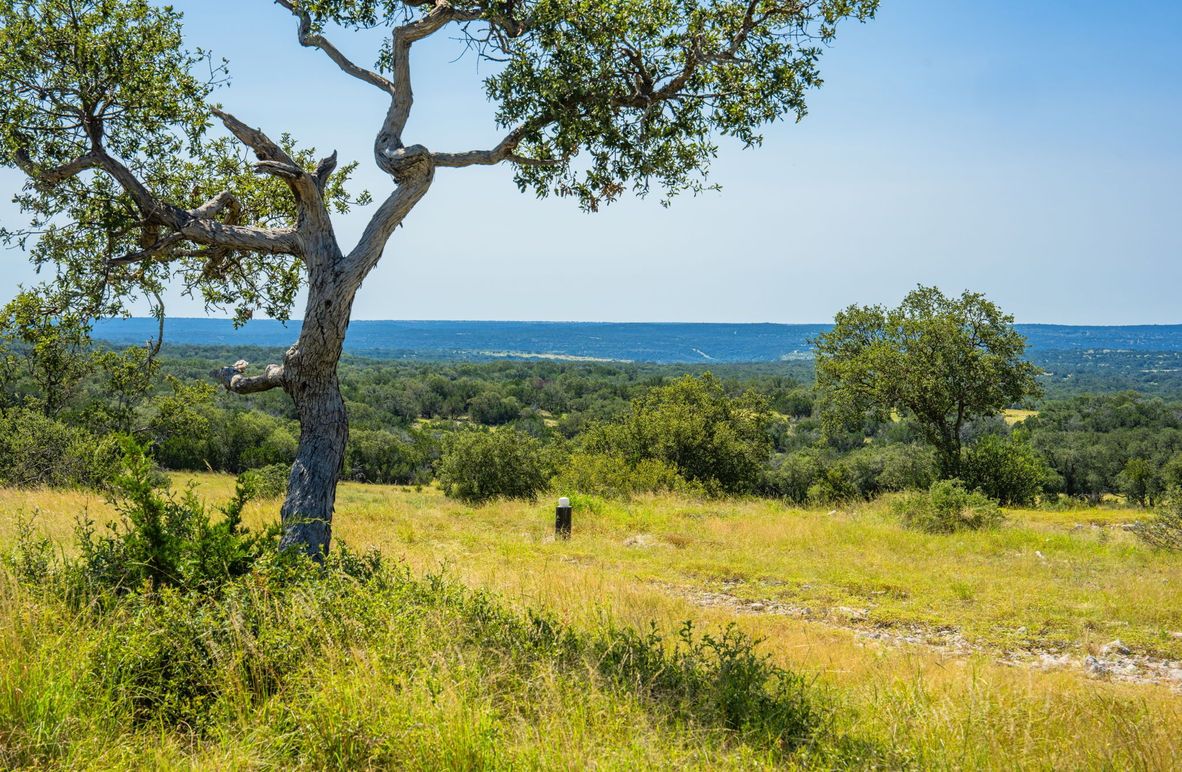 1-web-or-mls-DSC08109