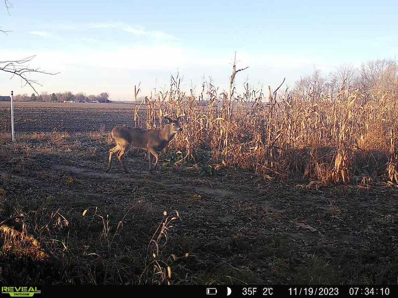 860322064829176-1-4-11192023073410-V-W1008797