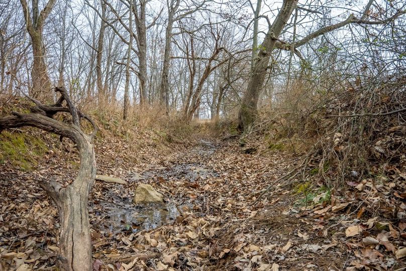 Copy of DSC00721 Large