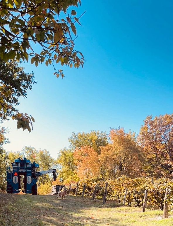 IMG_20260302_152927 (4)