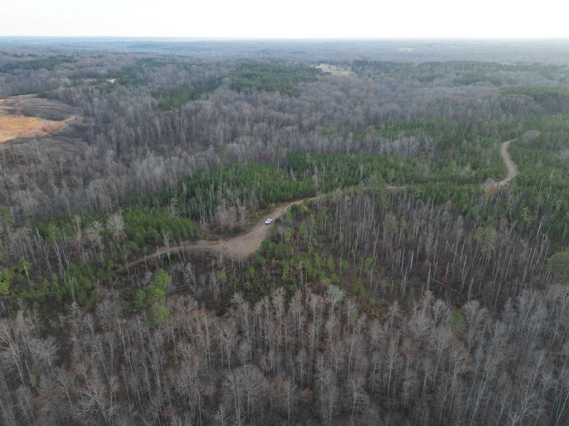 dji_fly_20231130_052514_269_1701905203843_photo