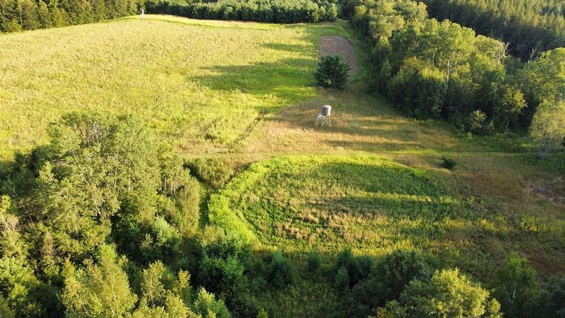 dji_fly_20240811_190614_733_1723421204117_photo_optimized