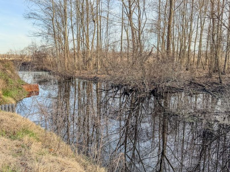 Phillips 8.5 Trahan -25