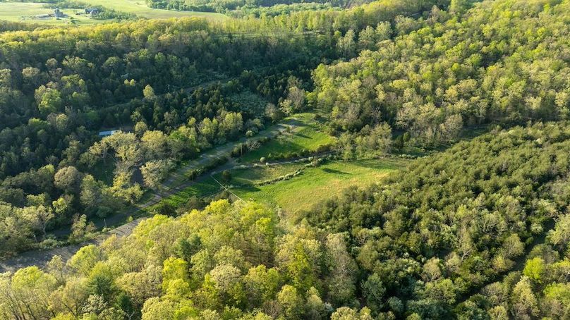 Hampshire WV 106 Featured_Pro Photo-81