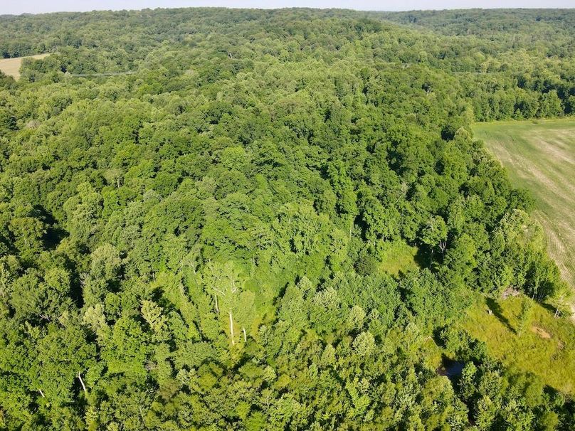 dji_fly_20260604_093758_65_1780580293210_photo