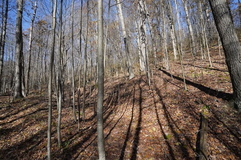 Somerset, 10.91, Tinkey-23