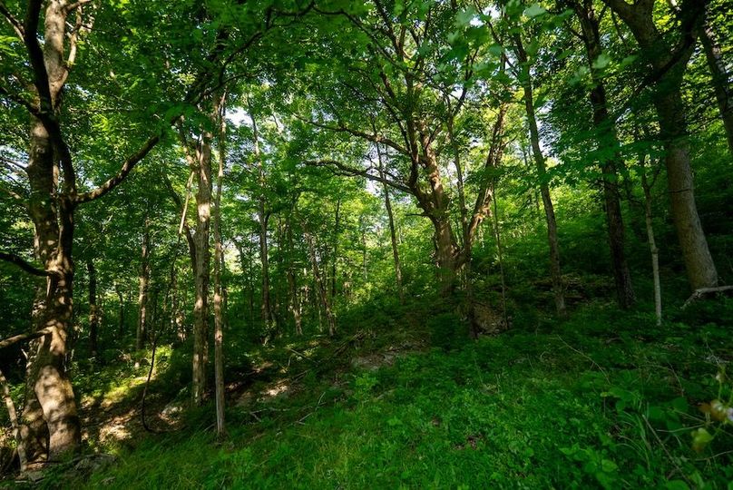 Cumberland TN 92 Featured_Pro Photo-106