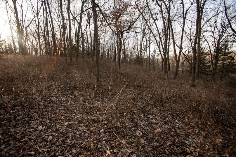 PAGE CO IA 130+_-_43