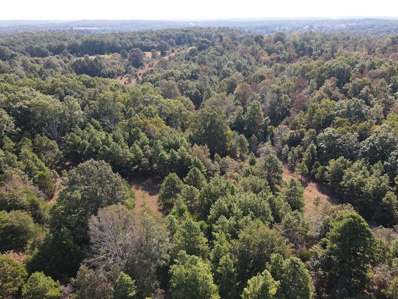 dji_fly_20250902_095236_715_1756824764905_photo