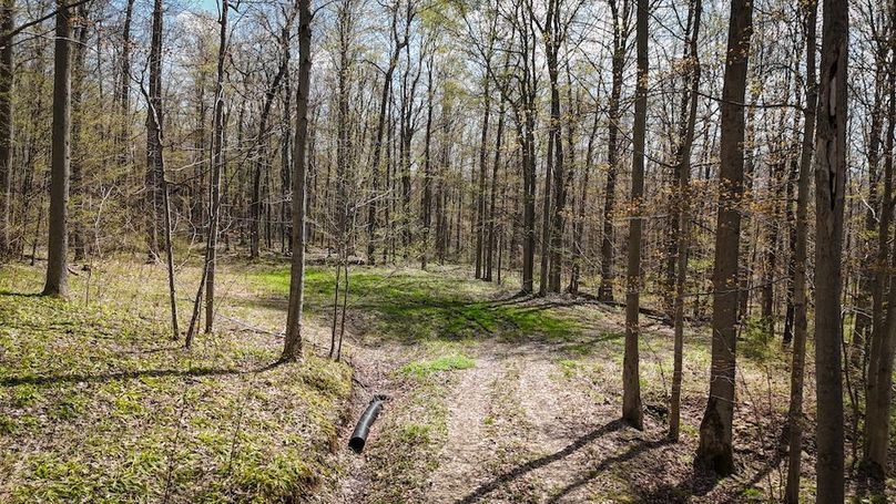 Cayuga_23.5_Demott_photos_25