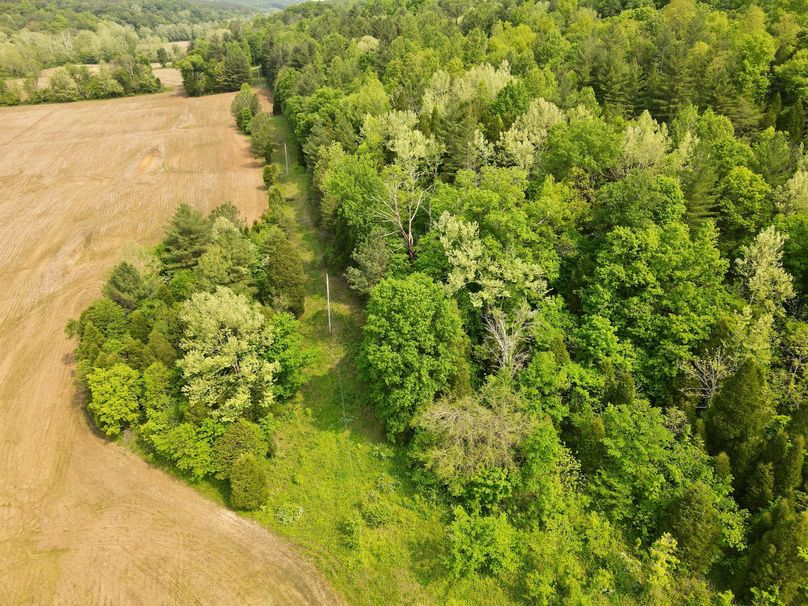 dji_fly_20230517_100858_388_1684336152195_photo