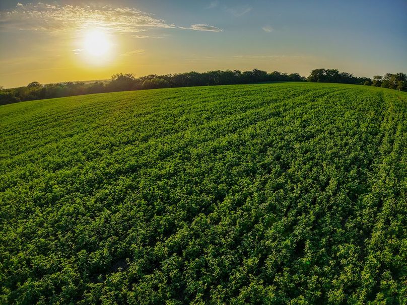 DJI_20250723195226_0382_D