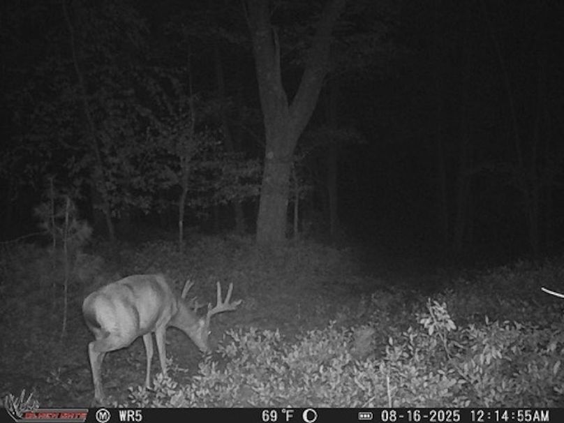 59D94911-6B7B-4454-AFF9-B70655B833BC_4_5005_c