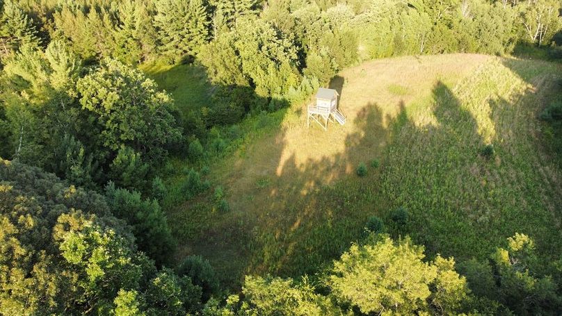 dji_fly_20240811_190806_737_1723421323721_photo_optimized