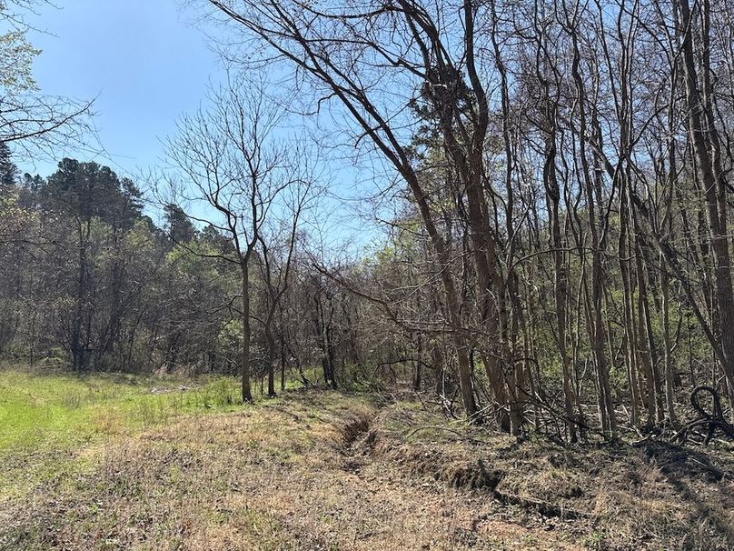 DJI_20260326_110516_415