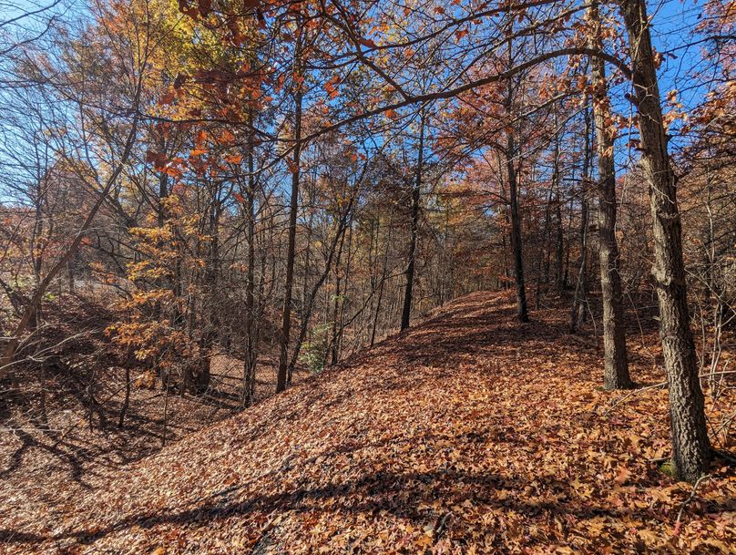 PXL_20231103_152009904